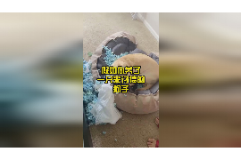玛沁商账追讨清欠服务
